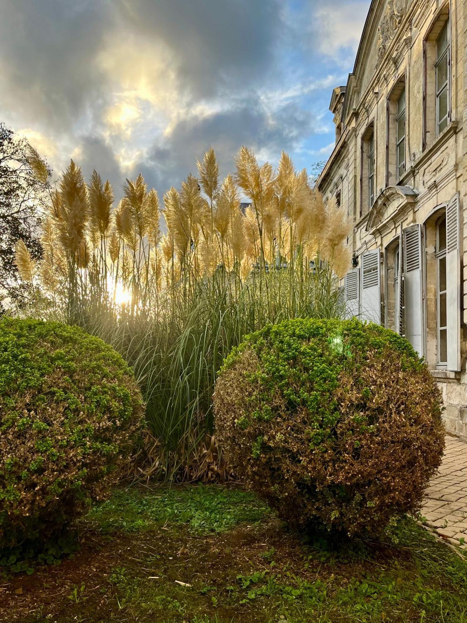 Chateau De Contay Guesthouse - 1753 Esterno foto